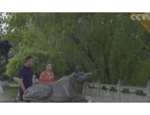 無縫鋼管大運河項目鐵牛